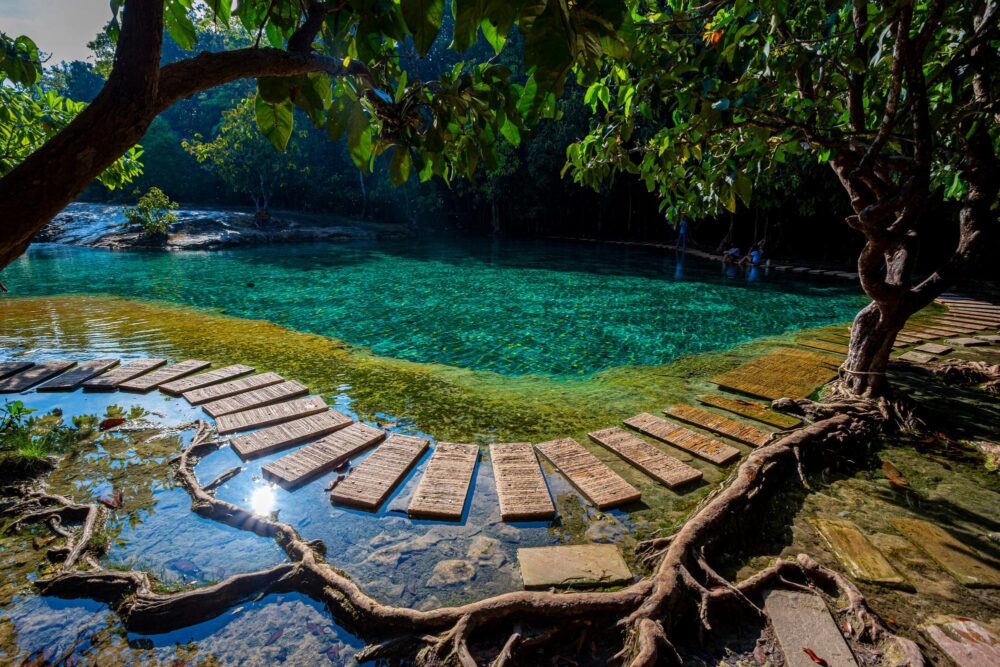 Emerald Pool dans la province de Krabi
