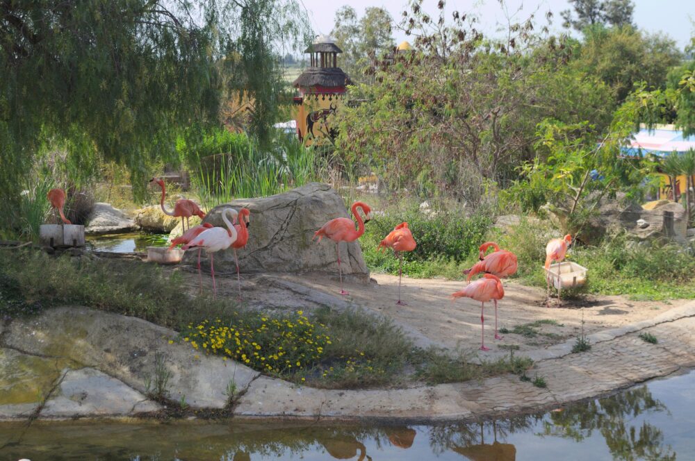 Friguia parc à Hammamet, Tunisie