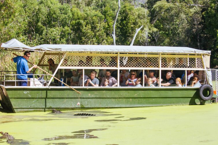 Hartley's Crocodile Adventures