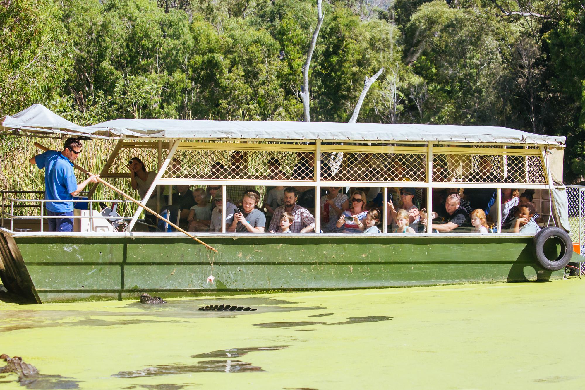 Hartley's Crocodile Adventures