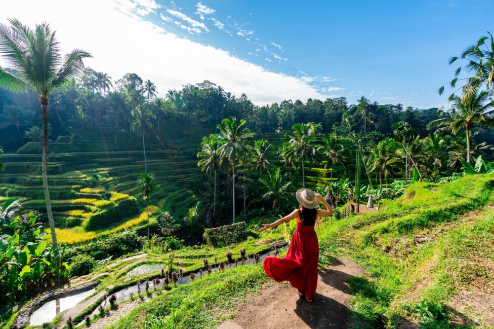 Jeune femme contemplant la belle terrasse de riz tegalalang à Bali, Indonésie