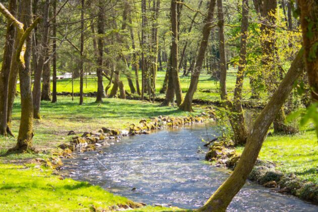 La Vrelo Bosne, Sarajevo