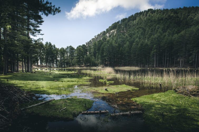 Lac de Creno en Corse, paysage tranquille avec montagnes et reflets sur l'eau