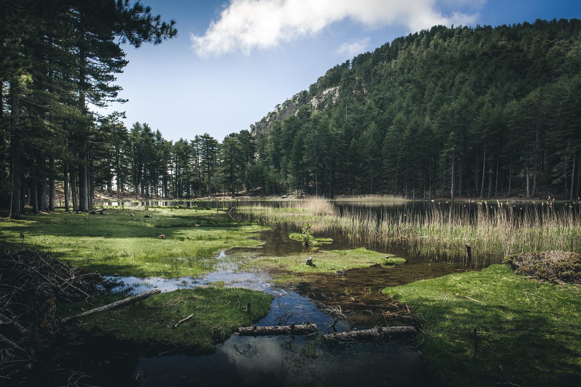 Lac de Creno en Corse, paysage tranquille avec montagnes et reflets sur l'eau