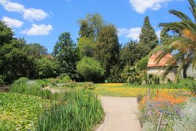 Le Jardin des Plantes de Montpellier