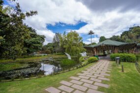 Le jardin botanique de Bogotá en Colombie
