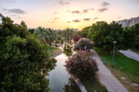 Le jardin du Turia à Valence en Espagne