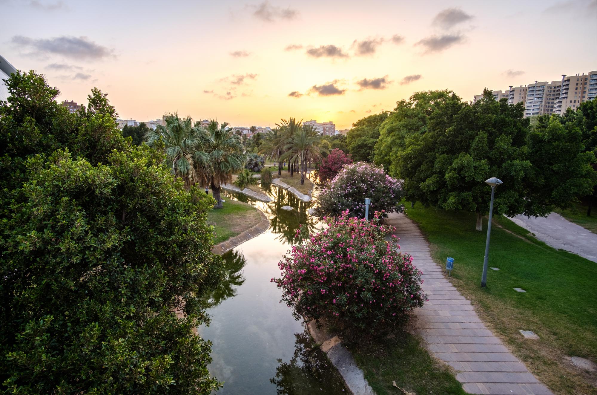 Le jardin du Turia à Valence en Espagne