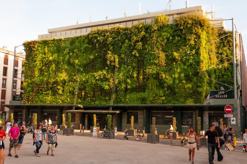Le marché des halles à Avignon
