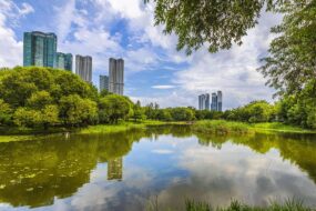 Le parc de Seoul Forest