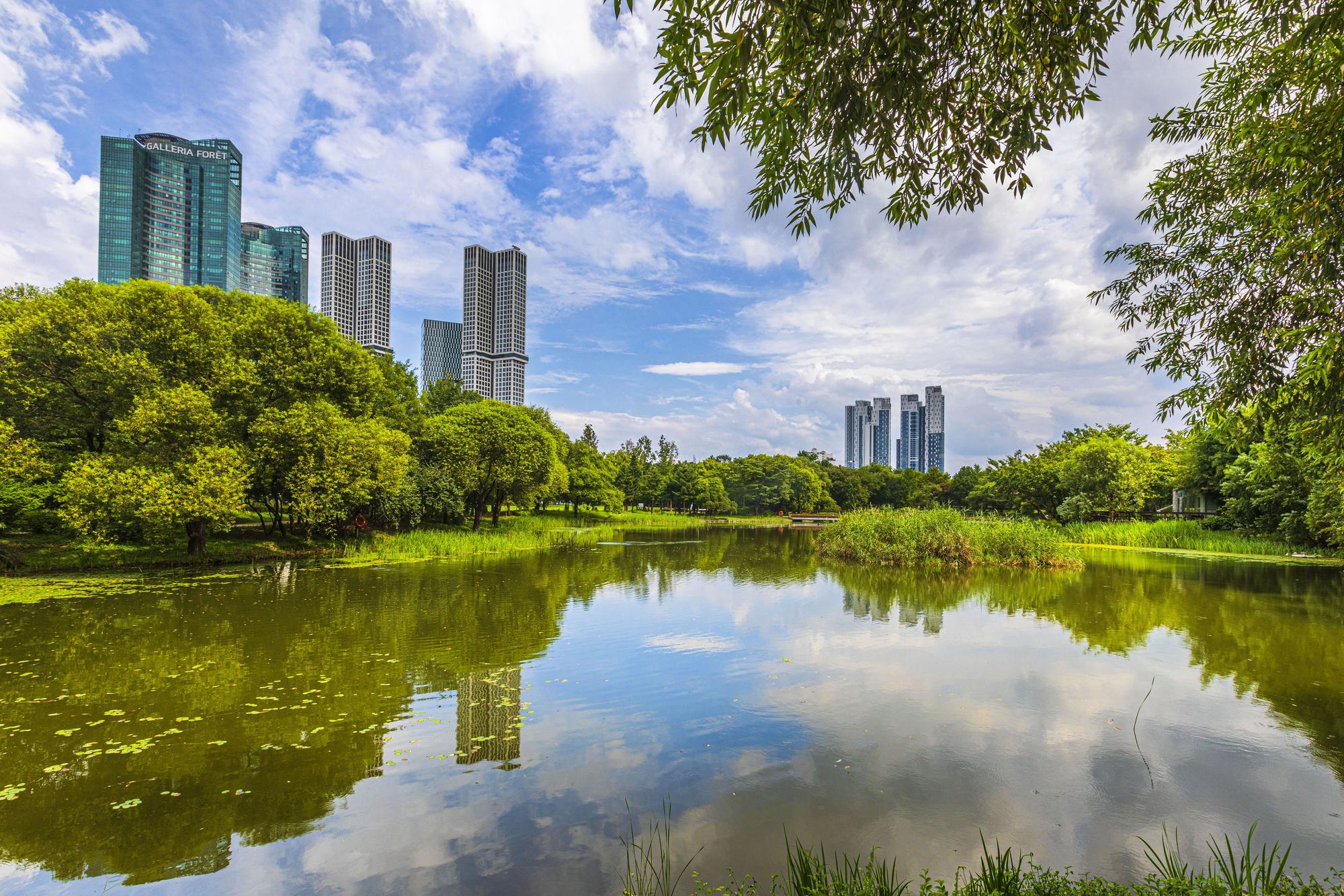 Le parc de Seoul Forest