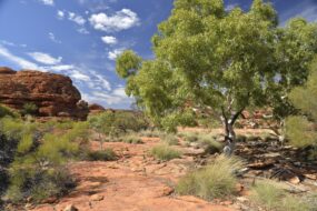 Le parc national de Kings Canyon, Australie
