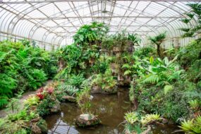 L'une des serres du jardin botanique de São Paulo