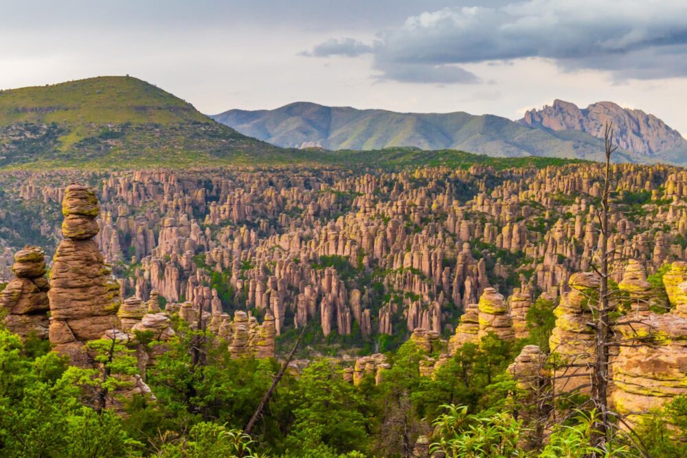 Monument national de Chiricahua en Arizona, États-Unis