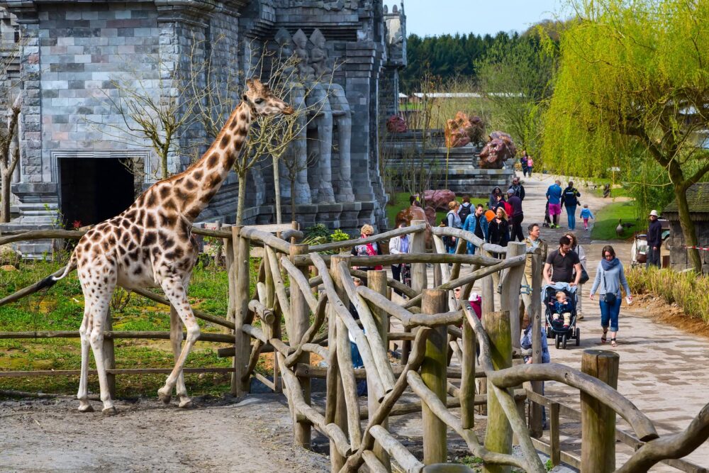 Parc Pairi Daiza, Belgique