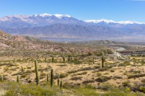 Parc national Los Cardones, Salta