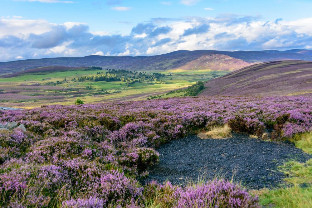 Parc national des Cairngorms au Royaume-Uni