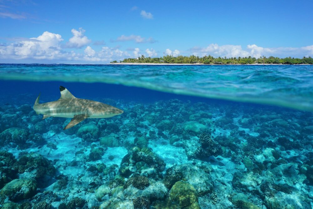 Passe de Tiputa à Rangiroa, Polynésie française