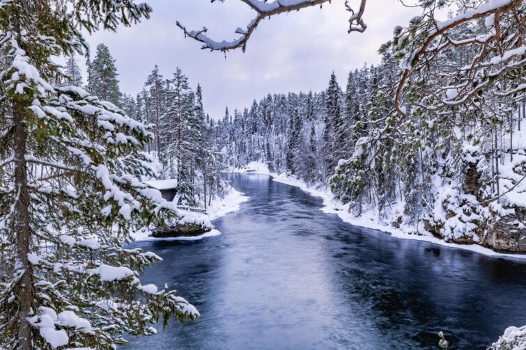 Paysage hivernal pittoresque avec rivières gelées et arbres enneigés dans le parc national d'Oulanka, Finlande