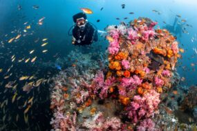 Plongée sous-marine à Phuket