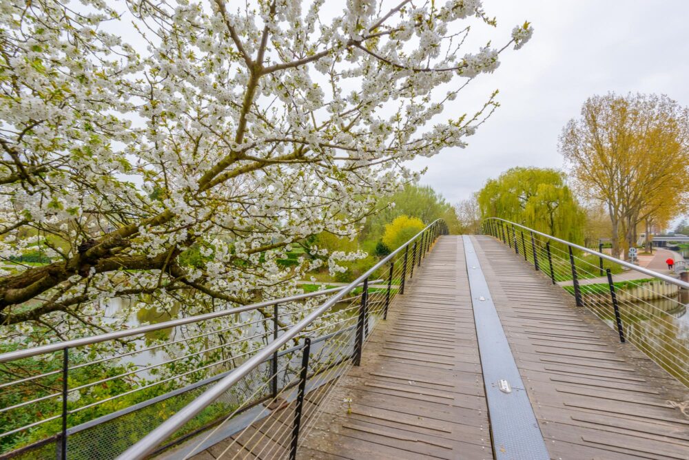 Pont dans le Parc Saint Pierre, Amiens