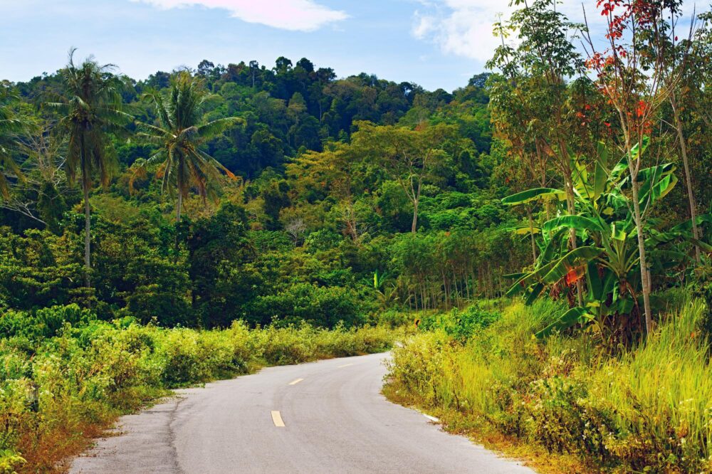 Route de campagne à Koh Lanta Noi