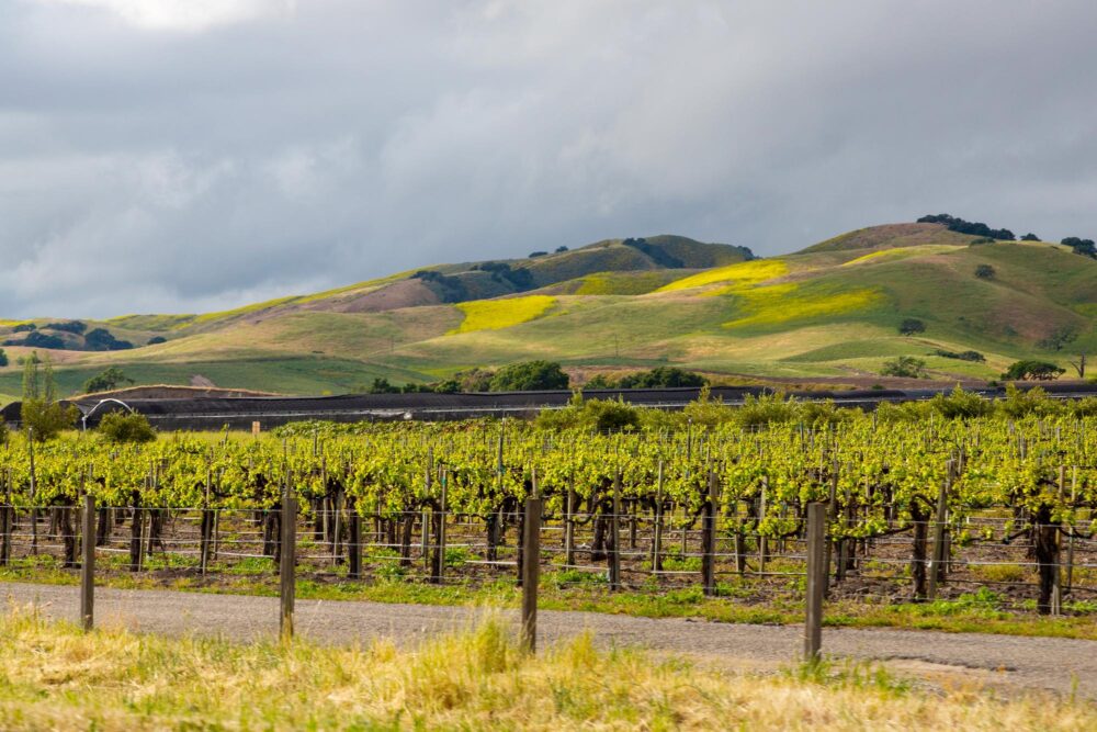 Route des vins de la Verde Valley en Arizona, États-Unis