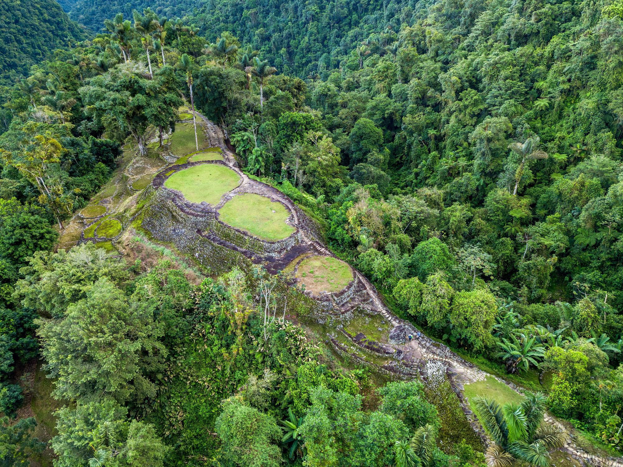 Ruines anciennes cachées de la civilisation Tayrona, Ciudad Perdida, Colombie