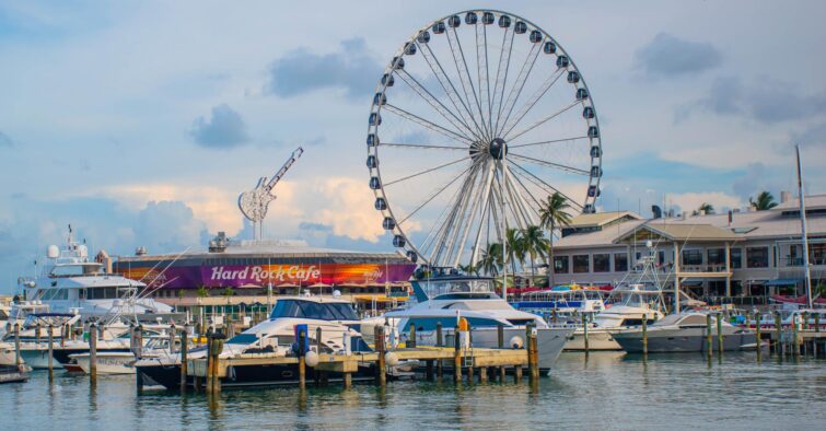 Skyviews Miami Observation Wheel à Miami