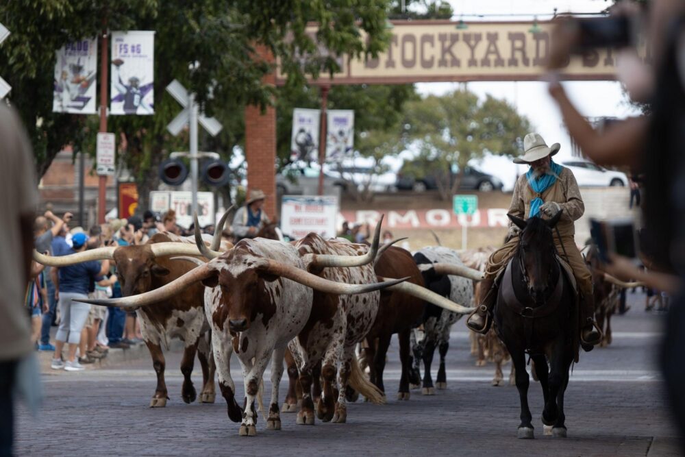Stockyards de Fort Worth