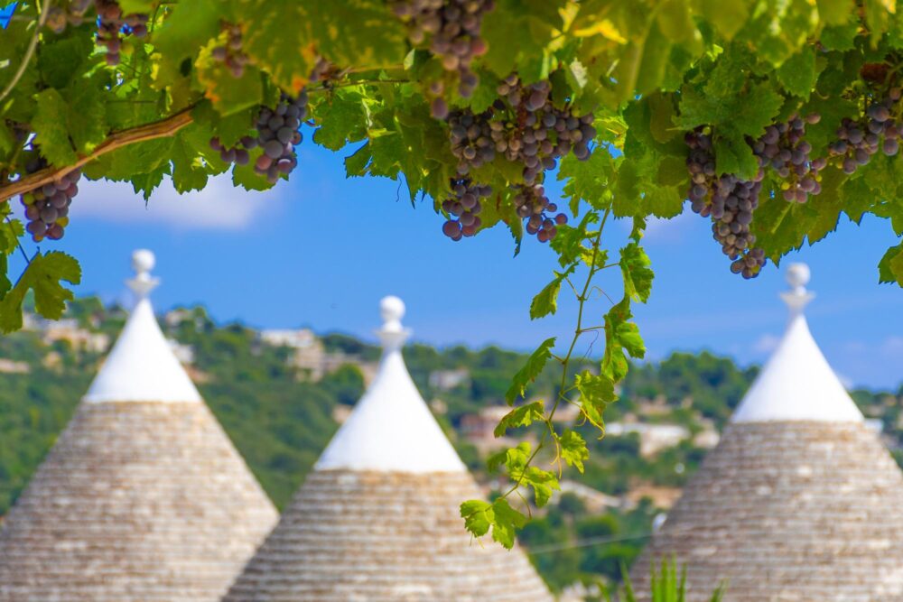 Sitemapcdatahttpwwwmixel Thicoipeinfotrulli Pouilles A Vendrenull