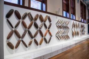 Une exposition à l'Australian Museum de Sydney