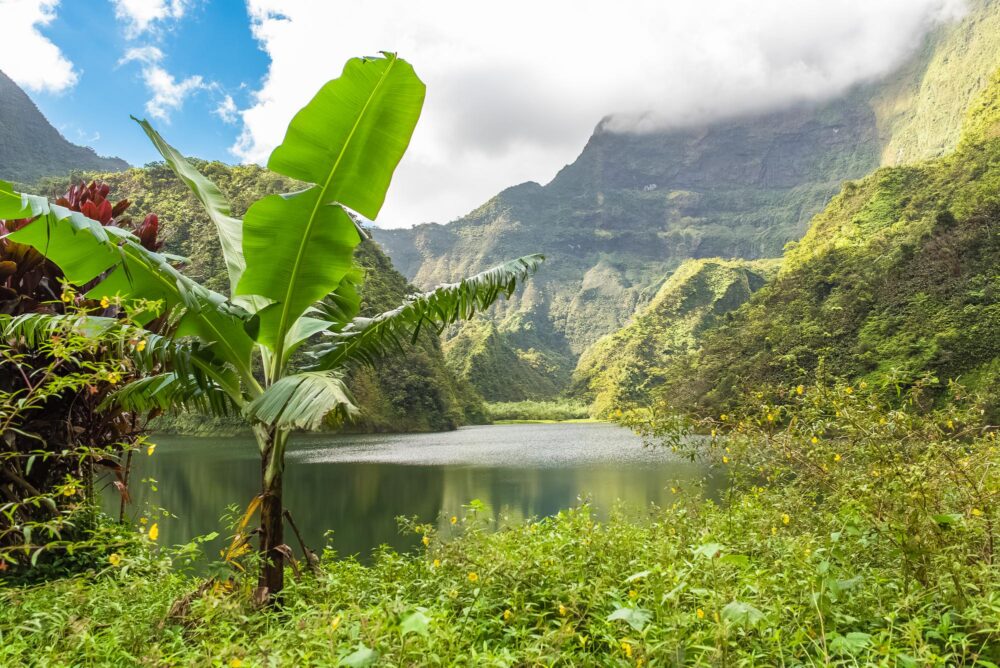 Vallée de Papenoo à Tahiti, Polynésie française