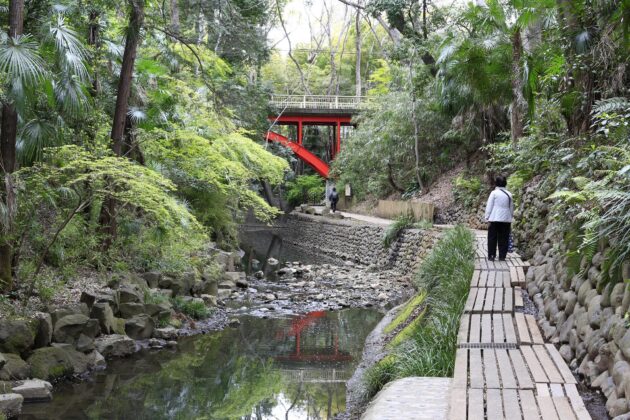 Vallée de Todoroki, Tokyo, Japon