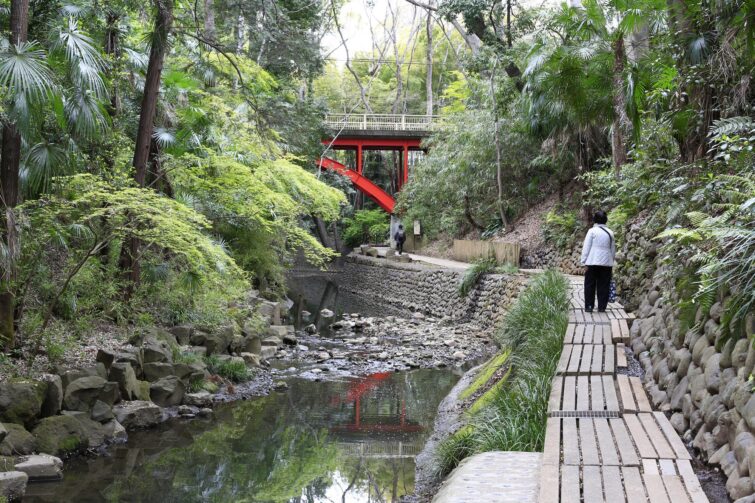 Vallée de Todoroki, Tokyo, Japon