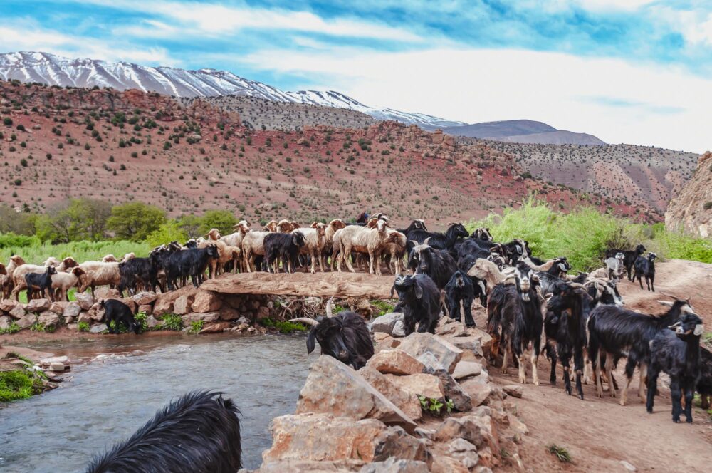 Vallée des Aït Bouguemez dans le Haut Atlas, Maroc