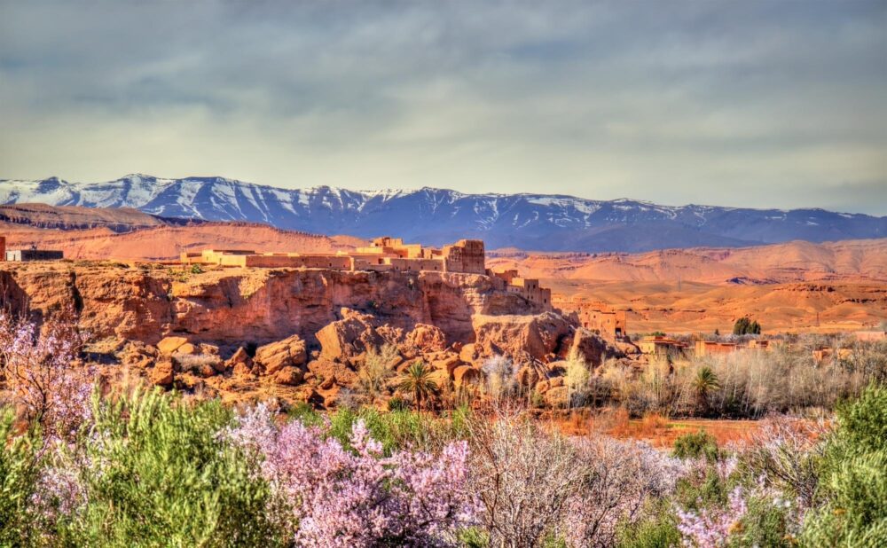 Vallée des roses dans le Haut Atlas, Maroc