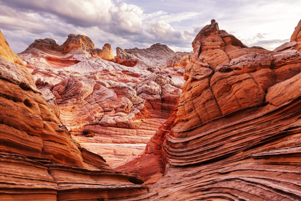Vermilion Cliffs National Monument en Arizona, États-Unis