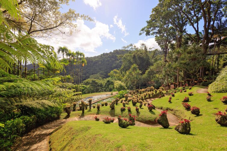 Visite du Jardin de Balata en Martinique