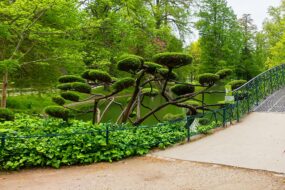 Visite du Jardin public de Bordeaux
