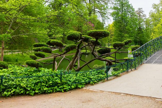 Visite du Jardin public de Bordeaux