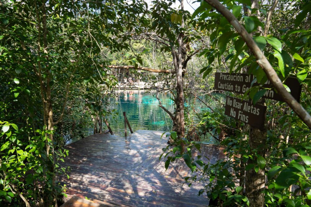 Visiter le Cenote Carwash Aktun Ha à Tulum