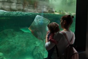 Visiteurs à Oceanopolis à Brest