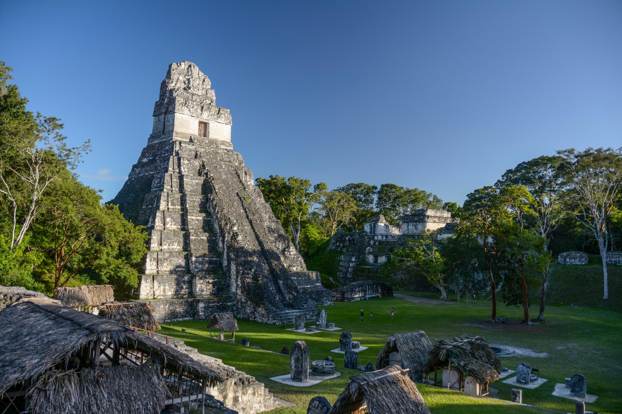 Vue panoramique de Tikal, parc national situé au Guatemala, montrant des temples mayas anciens au milieu de la jungle