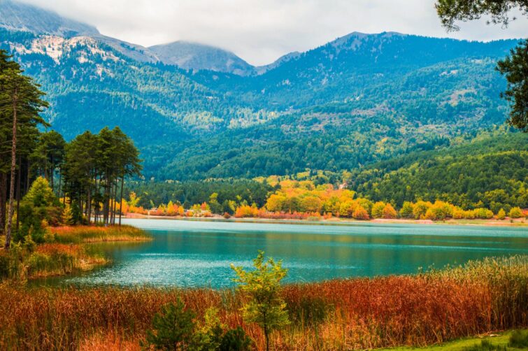 Vue pittoresque du lac Doxa en Grèce, entouré de montagnes et de forêts avec un ciel clair