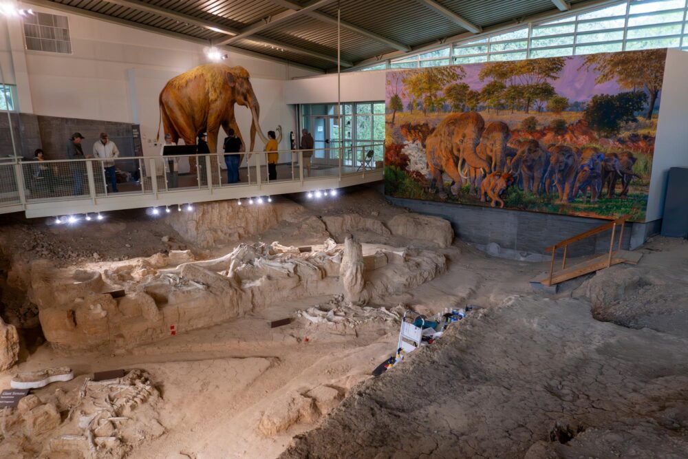 Waco Mammoth National Monument