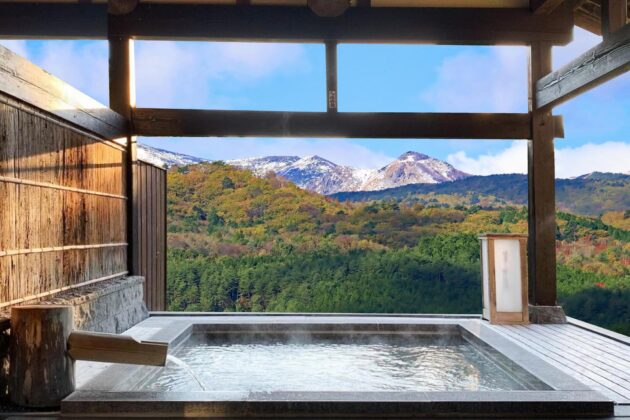 onsen japonais traditionnel relaxant dans un cadre naturel