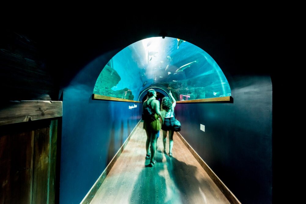 Aquarium Magellan à Séville