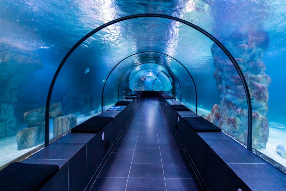 Aquarium d'Istanbul
