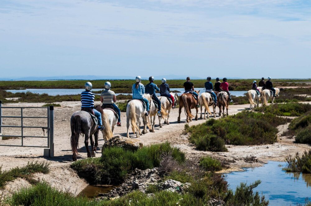 Balade à cheval en Camargue
